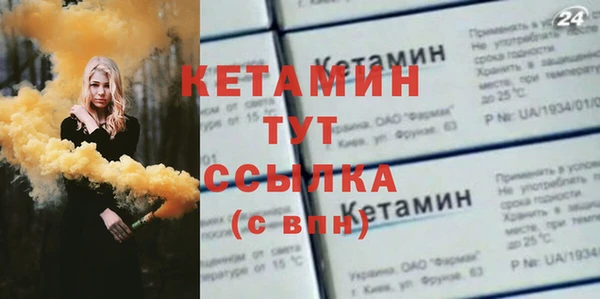 стаф Дмитров