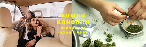 прущие грибы Дмитриев