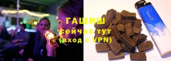 стаф Дмитров