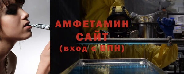 прущие грибы Дмитриев