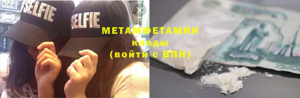 прущие грибы Дмитриев