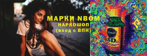 стаф Дмитров