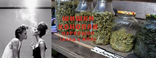 стаф Дмитров