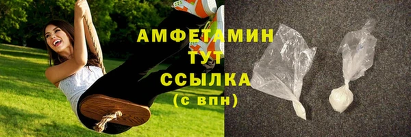 прущие грибы Дмитриев