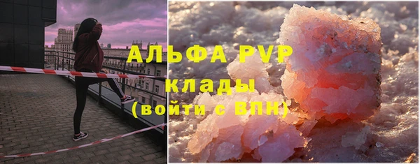 стаф Дмитров