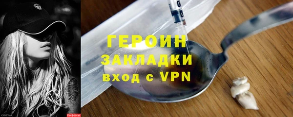 прущие грибы Дмитриев
