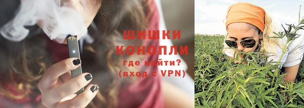 прущие грибы Дмитриев