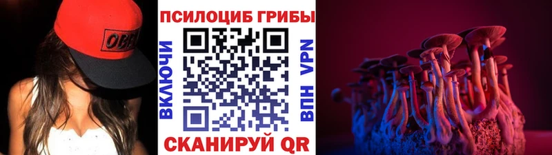 наркотики  Рубцовск  Галлюциногенные грибы Psilocybine cubensis 